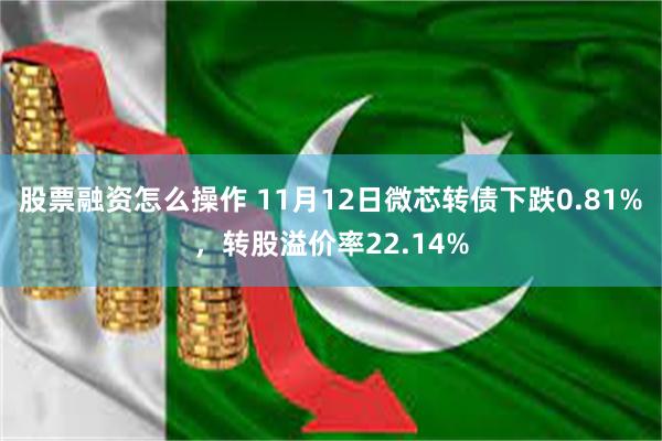 股票融资怎么操作 11月12日微芯转债下跌0.81%，转股溢价率22.14%