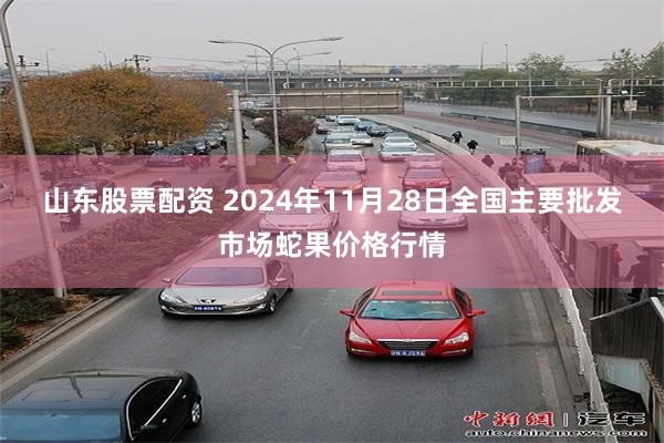 山东股票配资 2024年11月28日全国主要批发市场蛇果价格行情