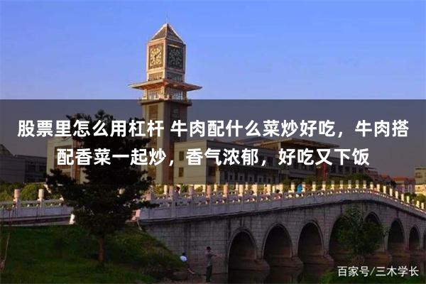 股票里怎么用杠杆 牛肉配什么菜炒好吃，牛肉搭配香菜一起炒，香气浓郁，好吃又下饭