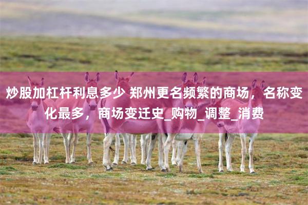 炒股加杠杆利息多少 郑州更名频繁的商场，名称变化最多，商场变迁史_购物_调整_消费