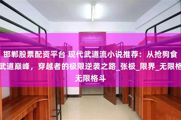 邯郸股票配资平台 现代武道流小说推荐：从抢狗食到武道巅峰，穿越者的极限逆袭之路_张极_限界_无限格斗