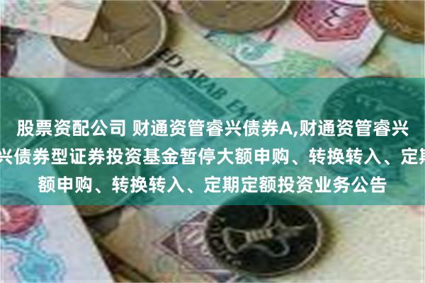 股票资配公司 财通资管睿兴债券A,财通资管睿兴债券C: 财通资管睿兴债券型证券投资基金暂停大额申购、转换转入、定期定额投资业务公告
