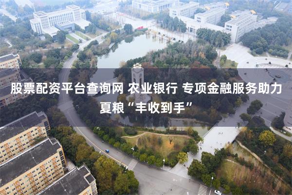 股票配资平台查询网 农业银行 专项金融服务助力夏粮“丰收到手”