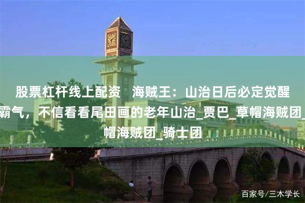 股票杠杆线上配资   海贼王：山治日后必定觉醒霸王色霸气，不信看看尾田画的老年山治_贾巴_草帽海贼团_骑士团