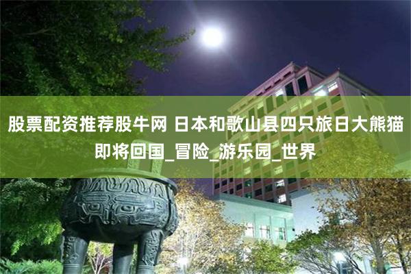 股票配资推荐股牛网 日本和歌山县四只旅日大熊猫即将回国_冒险_游乐园_世界
