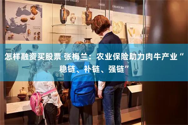 怎样融资买股票 张梅兰：农业保险助力肉牛产业“稳链、补链、强链”