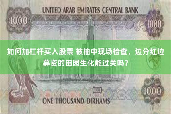 如何加杠杆买入股票 被抽中现场检查，边分红边募资的田园生化能过关吗？