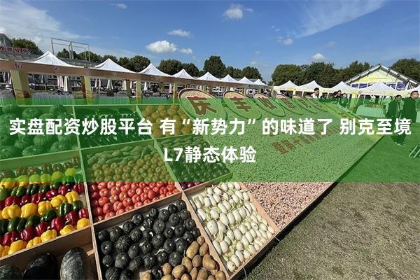 实盘配资炒股平台 有“新势力”的味道了 别克至境L7静态体验